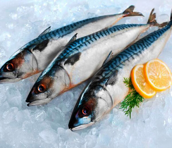 Chọn cá tươi, thịt chắc là nền tảng để làm ruốc cá bông ngon.